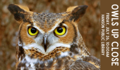 Owls Up Close